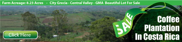 property for sale in Costa Rica, property lot for in Costa Rica, property for sale, coffeee plantation for sale in Costa Rica