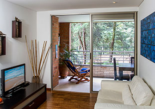 Luxury Furnished 1 Bedroom Apartment