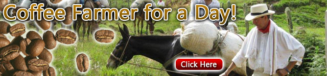 colombia cultural tours, colombia coffee farm tours, colombia coffee farmer for a day tours, colombia tourist safe zones