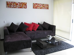 Furnished 1 Bedroom - Discounts in April