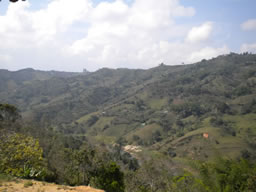 Farm House in El Penol For Sale, Medellin