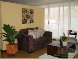 Comfortable and Modern Apartment