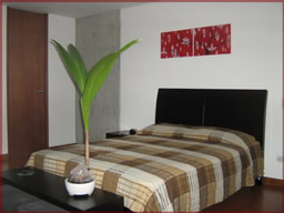 Beautifully furnished apartments for rent photo 2