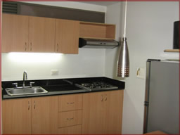 Beautifully furnished apartments for rent photo 6