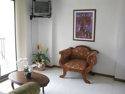Furnished Rental Near Premium Plaza