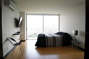Luxury Penthouse Apartment With Heated Jacuzzi photo 8