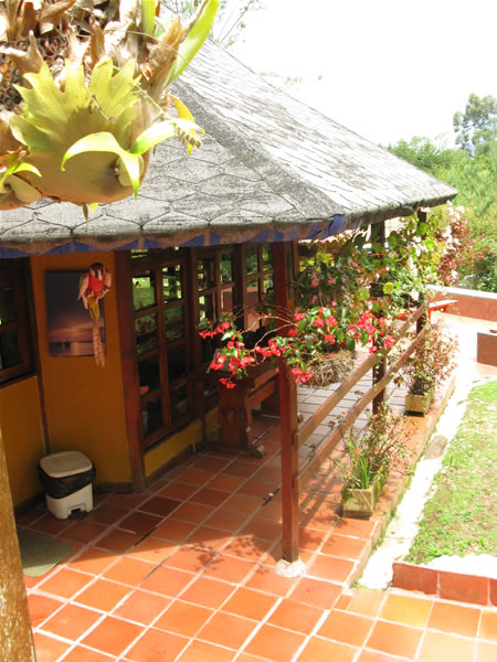medellin fincas with cows