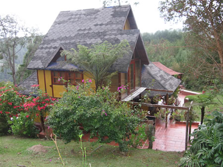 medellin fincas with horses