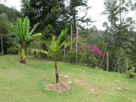 medellin fincas el retiro